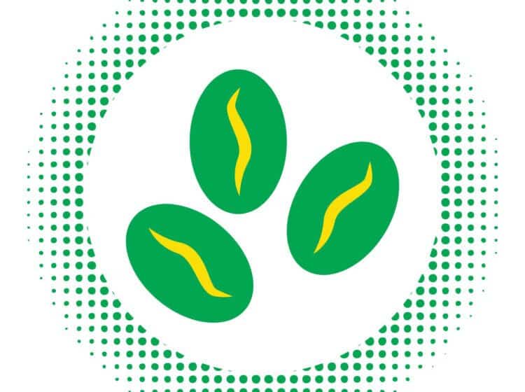 utiliser-lextrait-de-grains-de-cafe-vert-pour-mincir