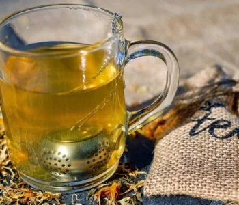 Le thé peut-il aider à perdre du poids ?