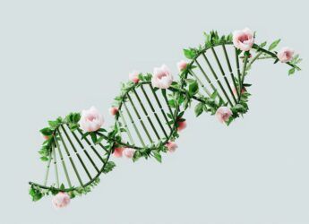 Télomères et télomérase 1